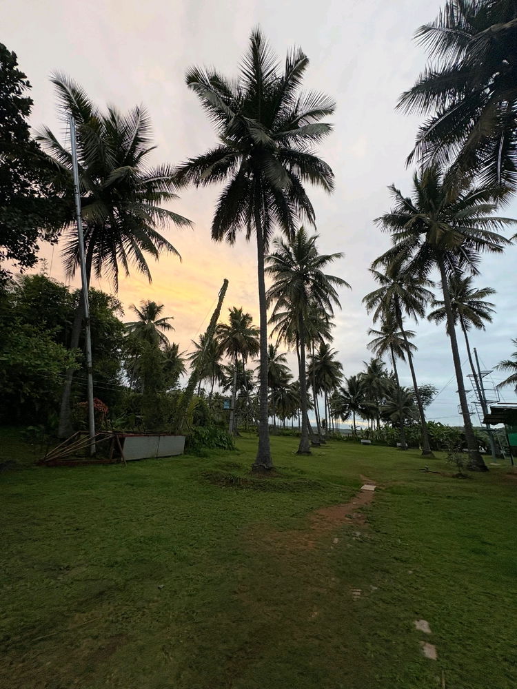 Nature