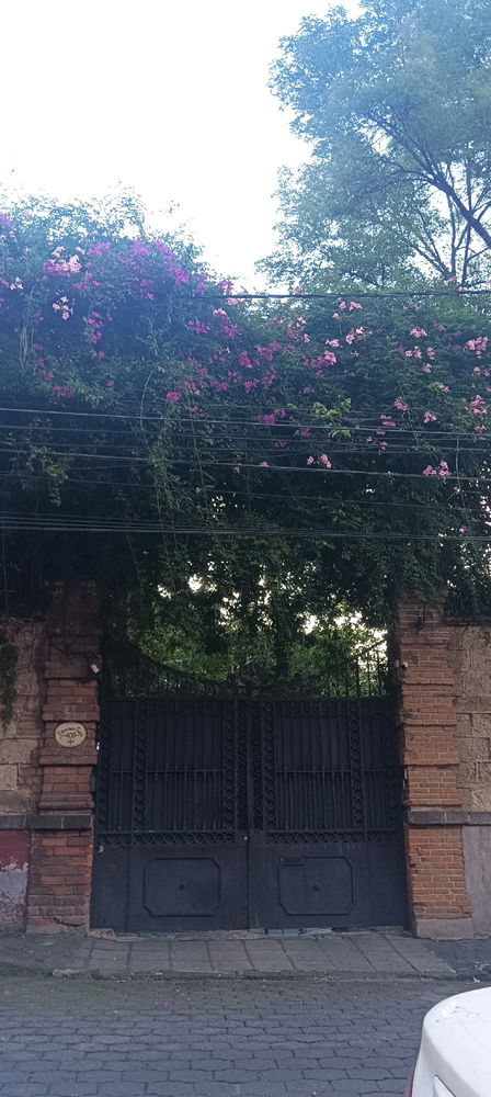 México City