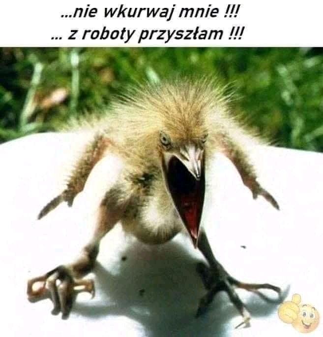 Łagodność