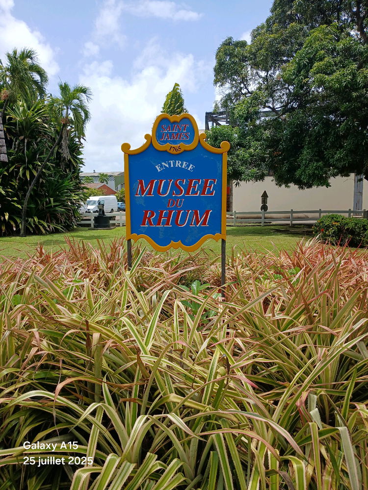 Visite Sainte-marie madinina !