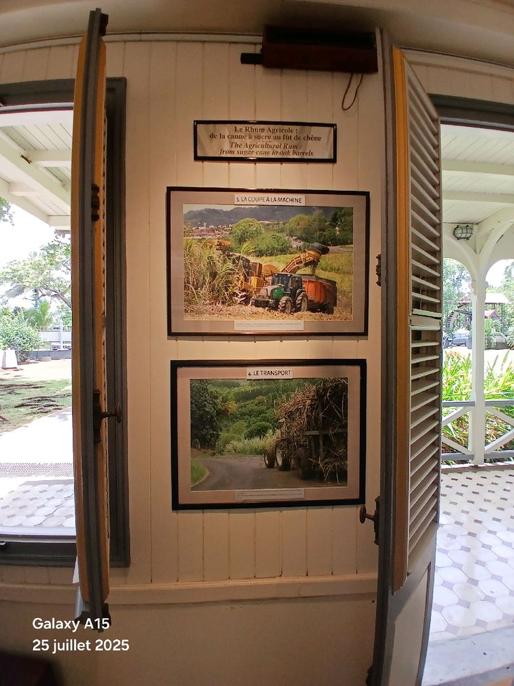 Visite Sainte-marie madinina !