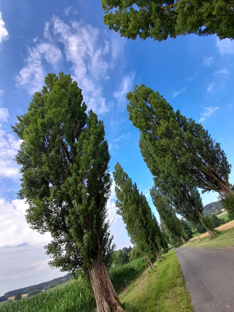 🏞 Kasejovice-rozhledna Chanovice-Horažďovice 22km