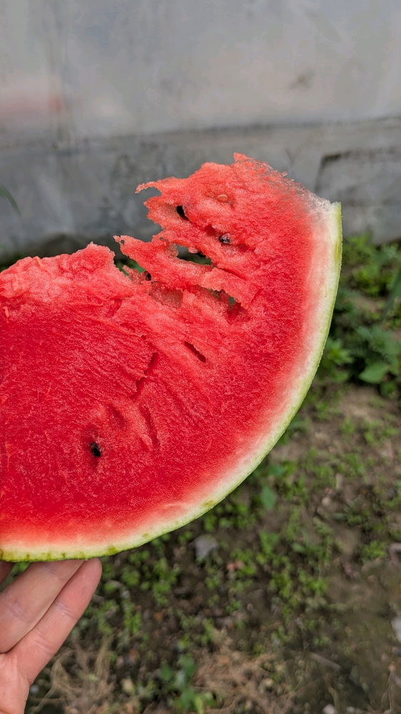 Бо ж літо