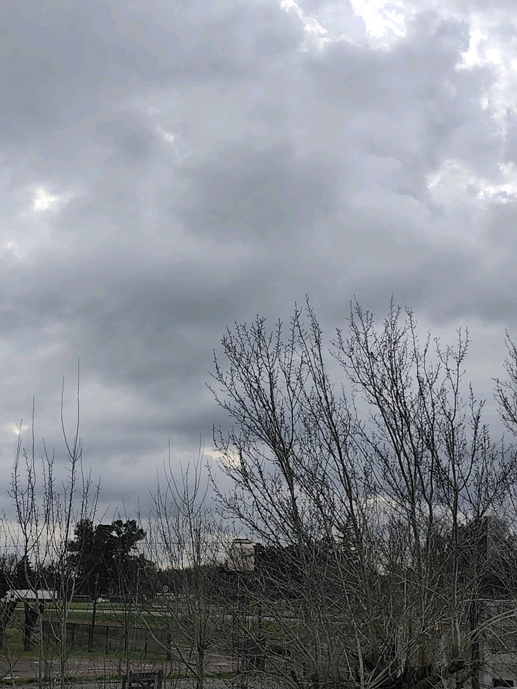 🌧️