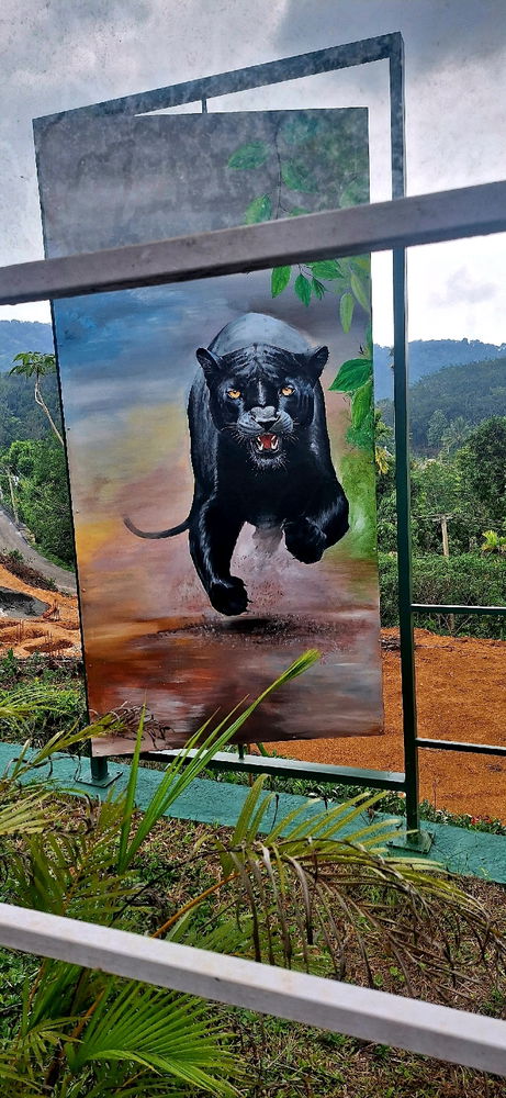 Wowww Jaguar