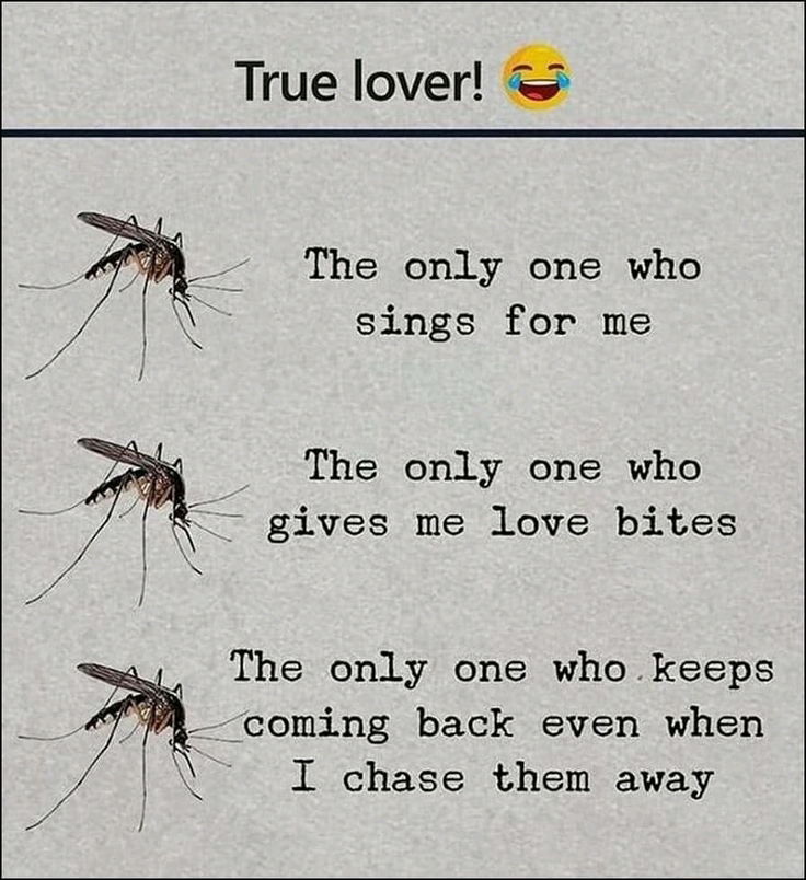 Indeed.. the one n only who loves me.. 😂