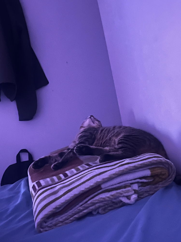 Ganas de dormir jaja
