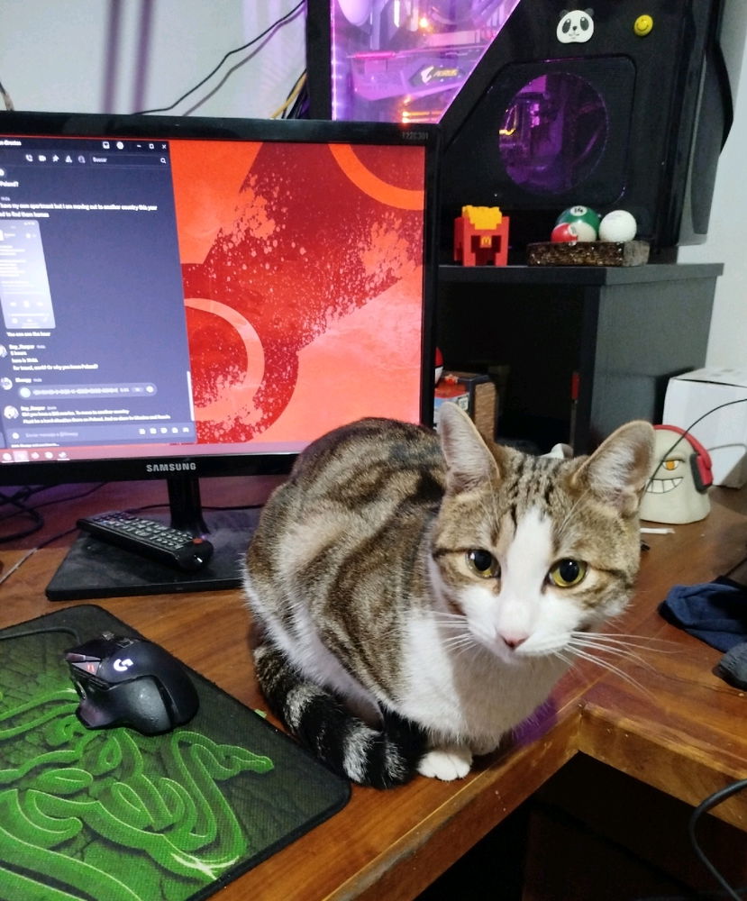 Que desea jugar hoy humano?