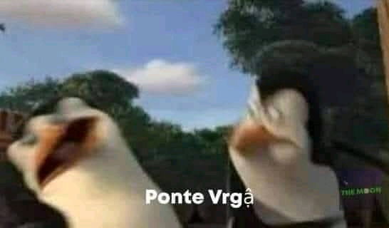 Ir a psicoterapia es más o menos así: