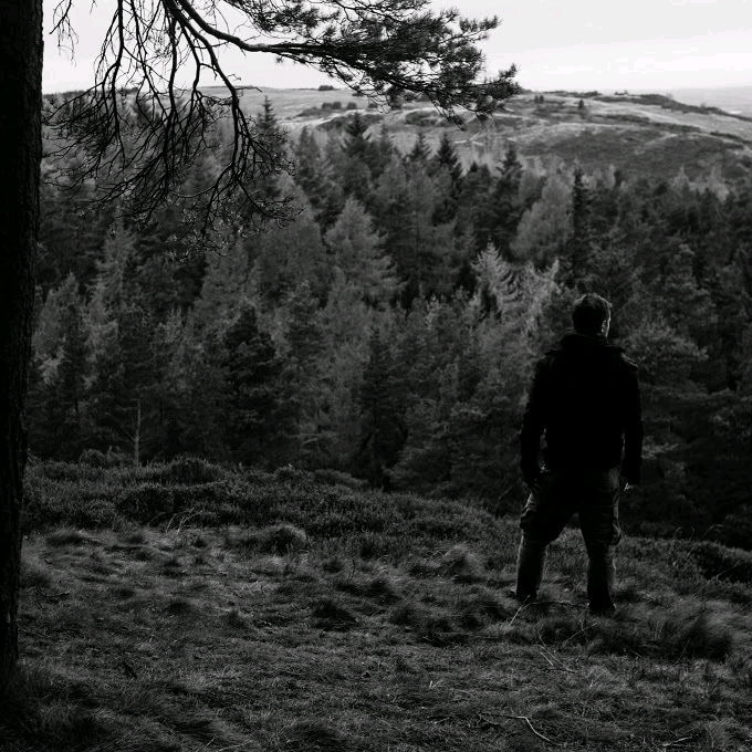 Into the wild