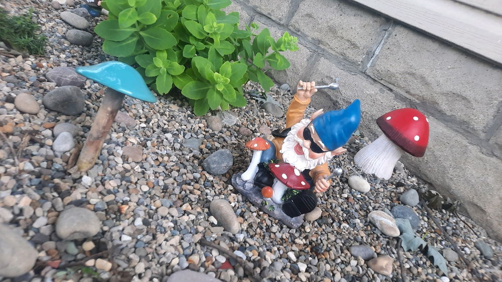 New Gnomey in the Rock garden 🤘