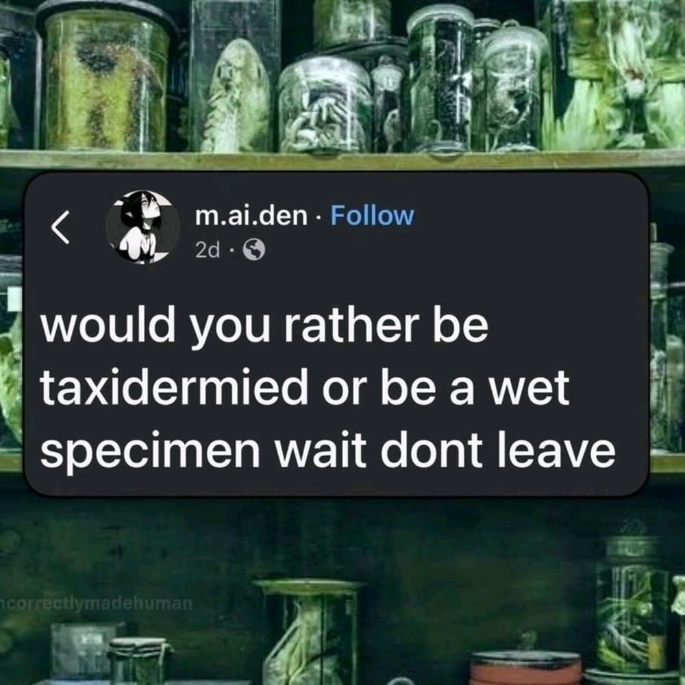 I debated this all too long, myself