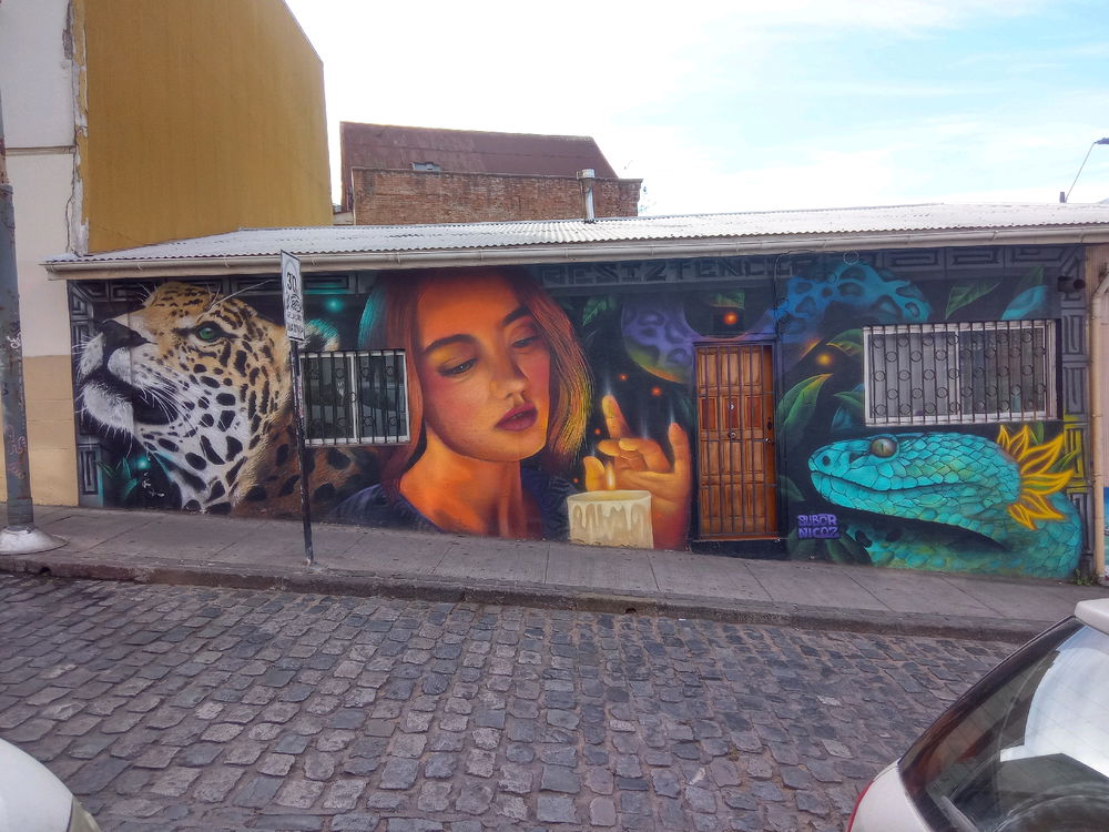 Street art of Valparaiso Chile