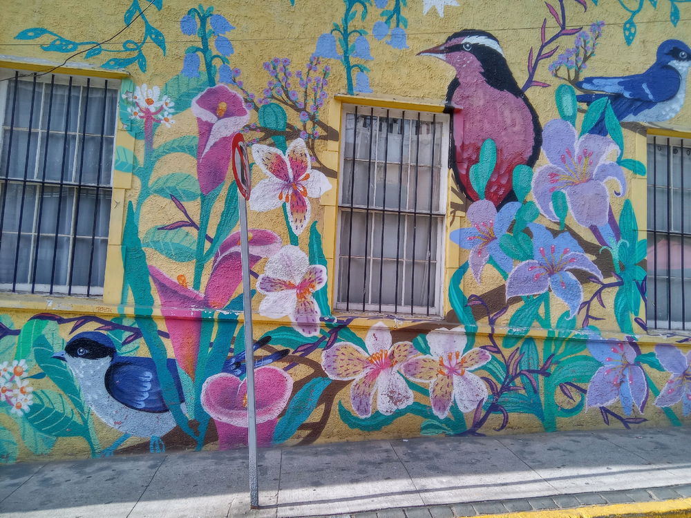 Street art of Valparaiso Chile