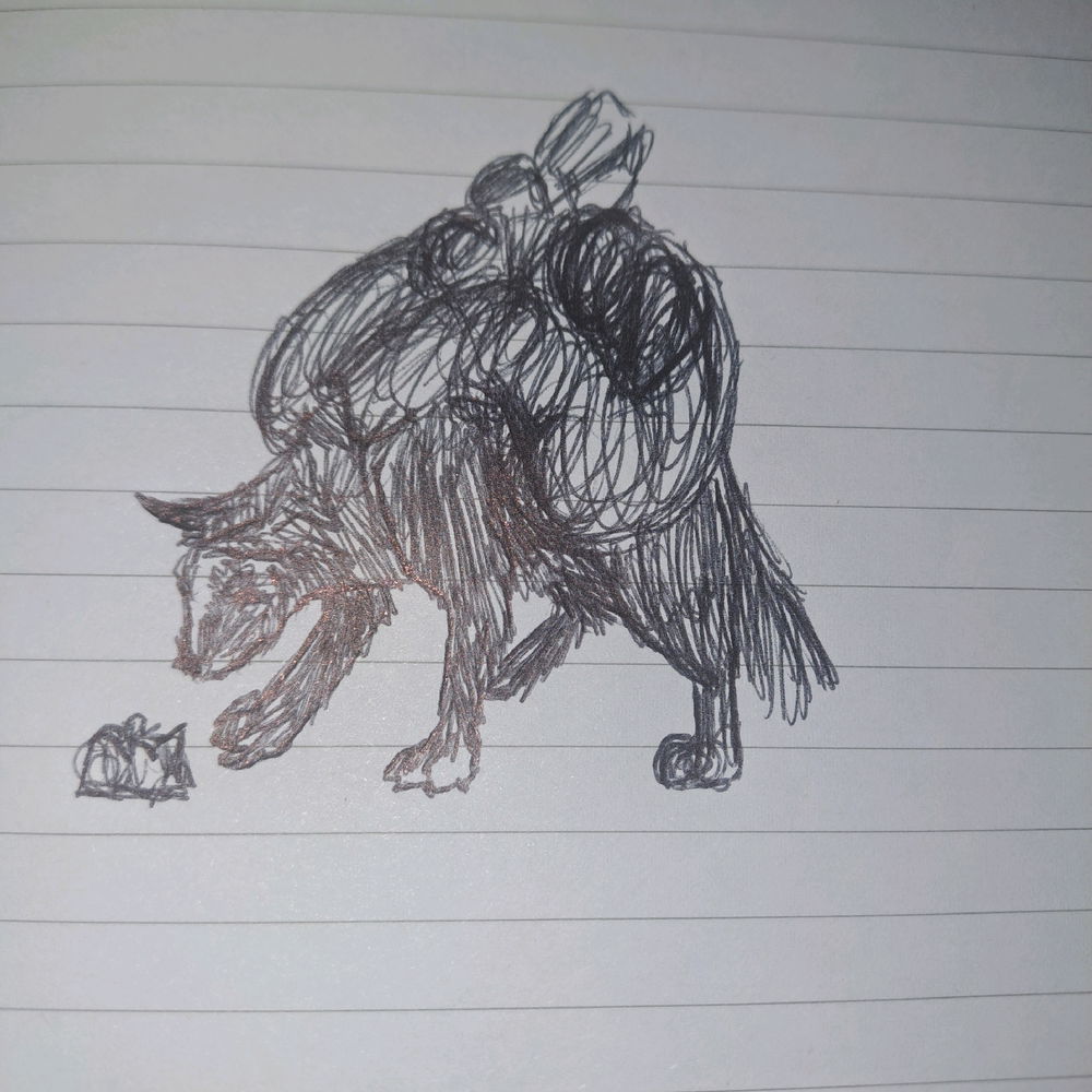 Doodle in the evening