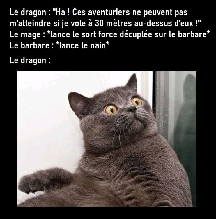 C'est du vécu 🥲
