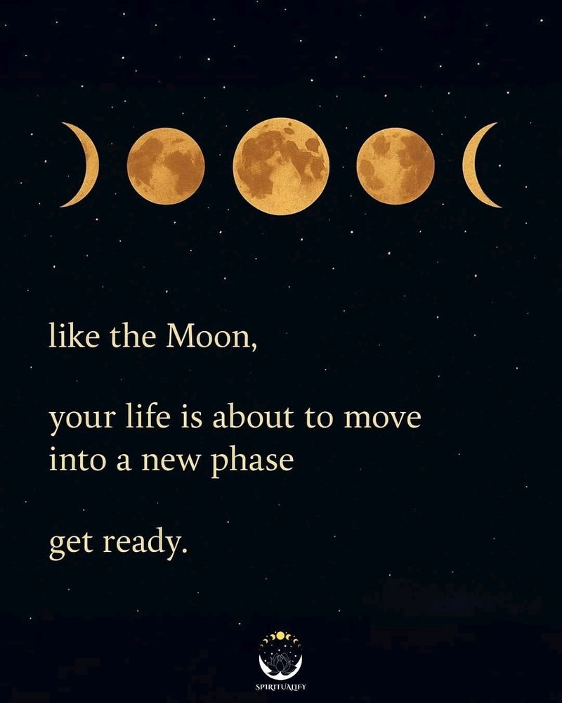 New moon New phase