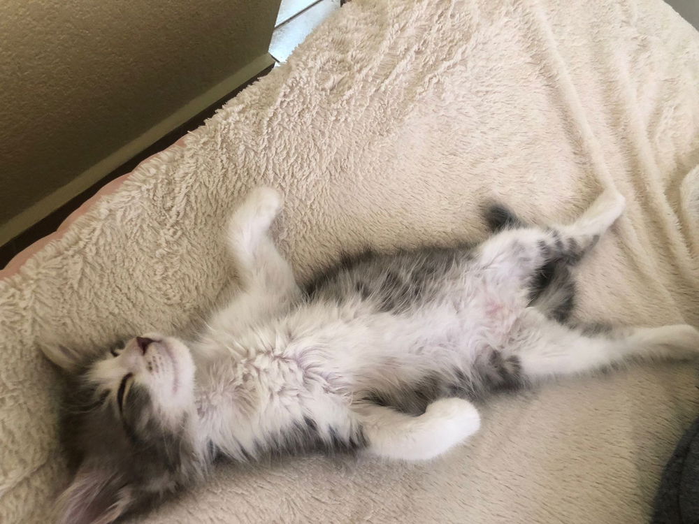 Mi niña