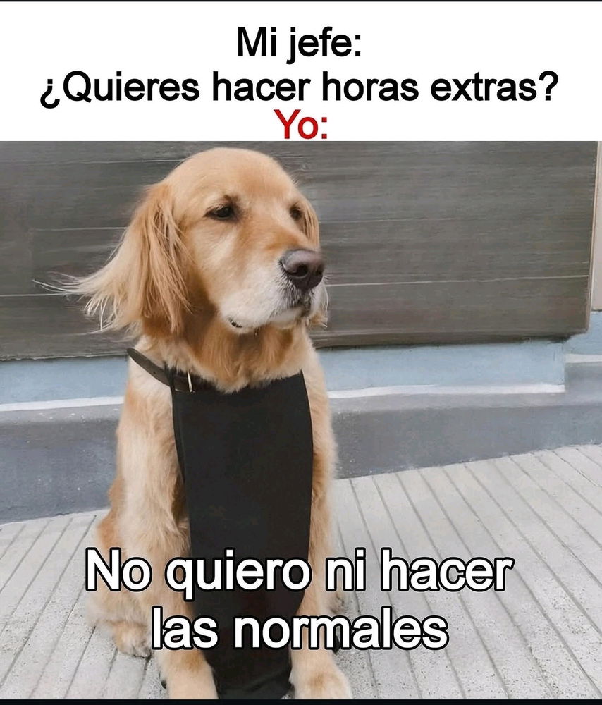 Jajaja