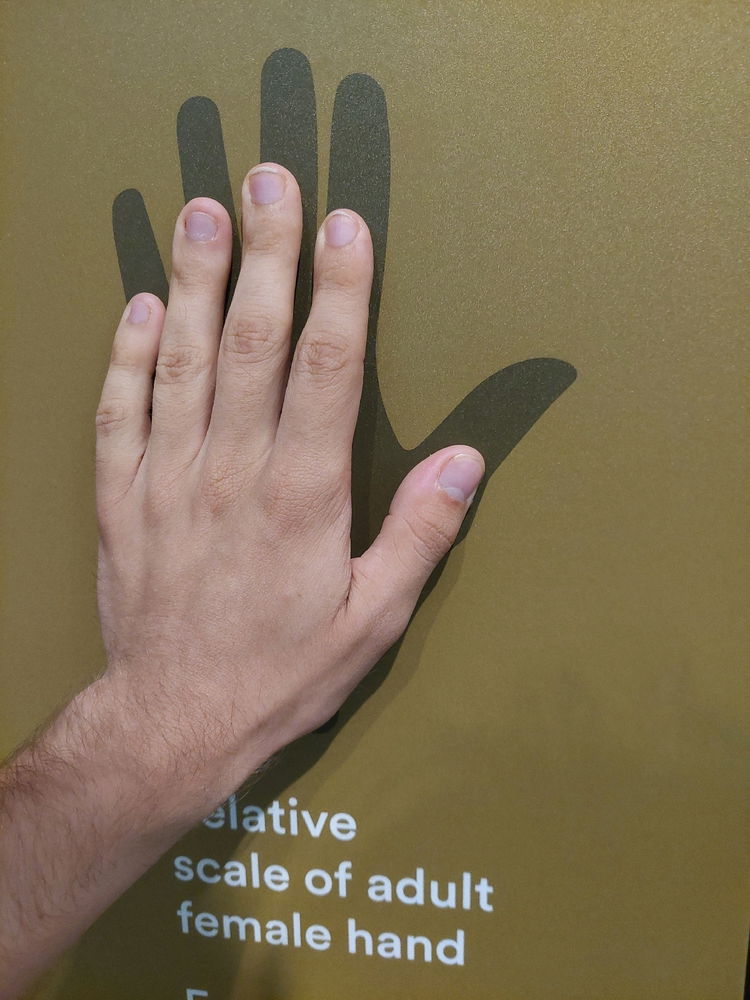 There is no way that is the average size of female hand.