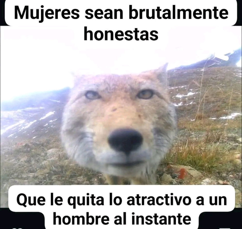 👇🏻🧐