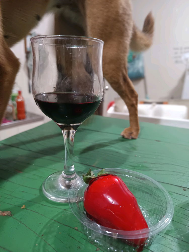 Vinho + Morango do Amor + Cachorra