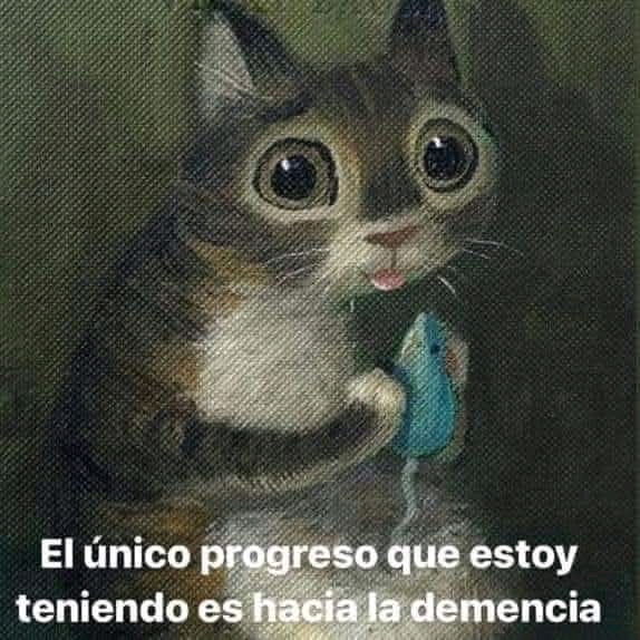 Más o menos xD