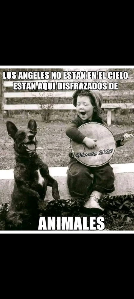 My dog te extraño te prometo que estarás cerca de mi pronto 😁😋🐶.