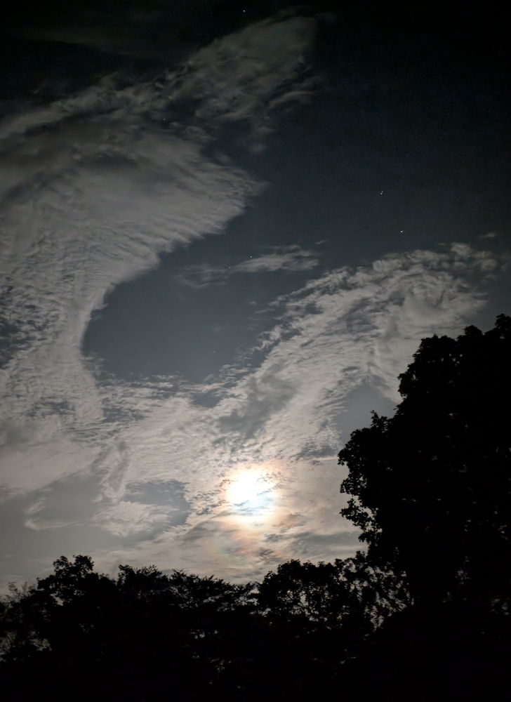 Midnight Moonlight