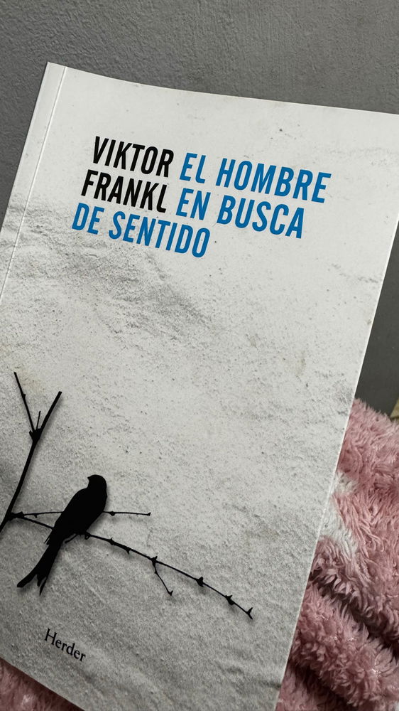 Buscando recomendaciones