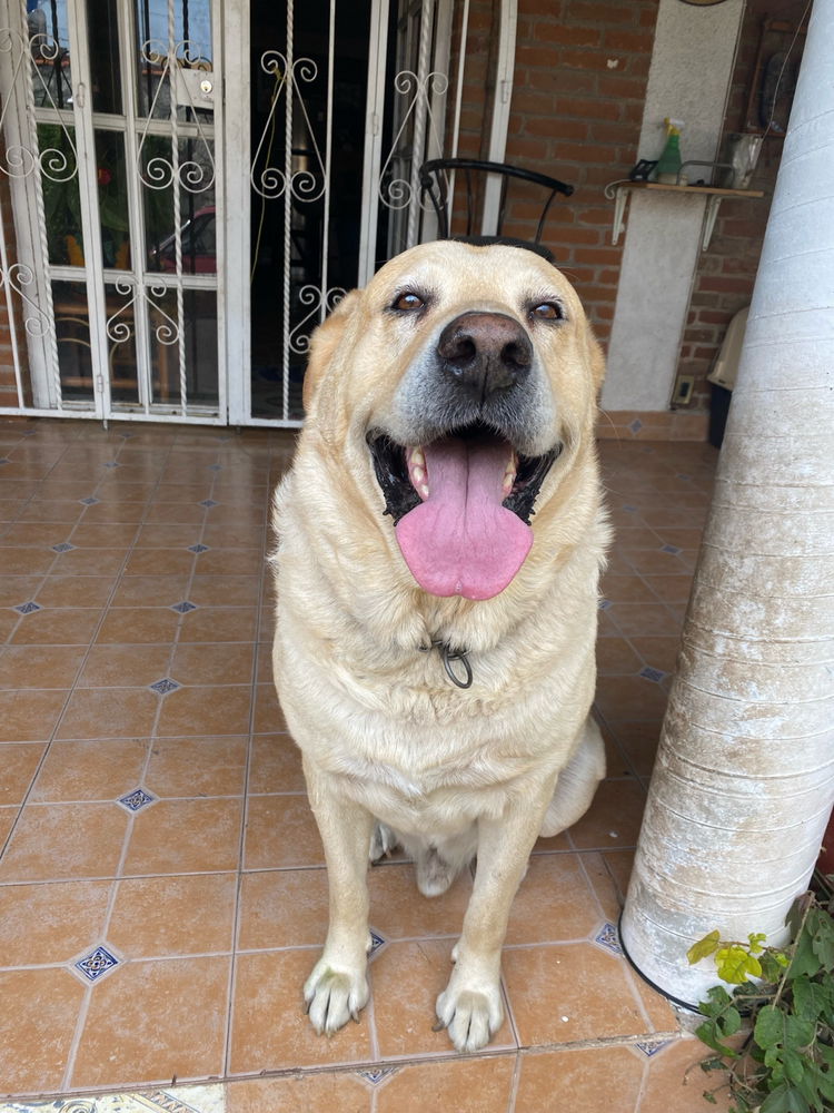 😛