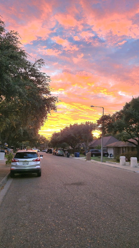 It looked pretty outside