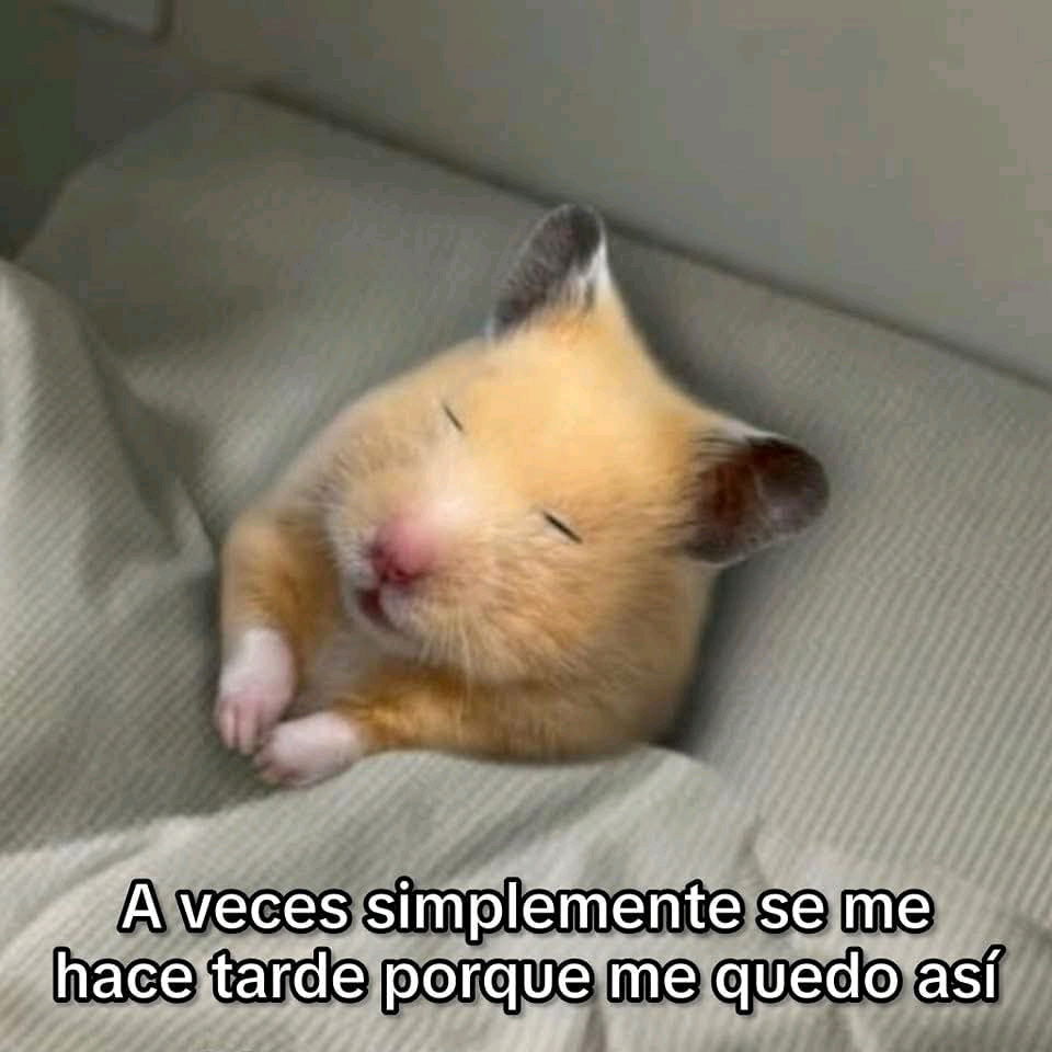 Tal cual xd
