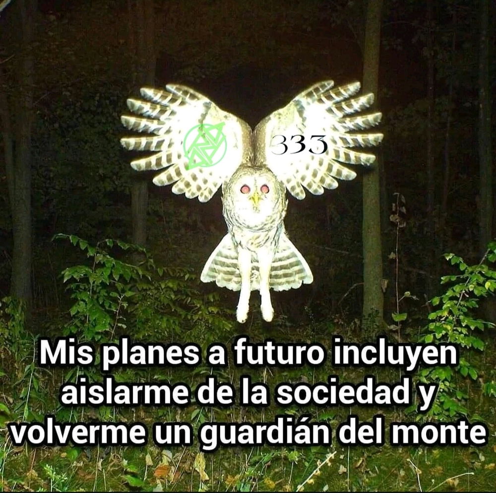 Dumpcito del día 25 del 2025
✨️🙏🏽✨️