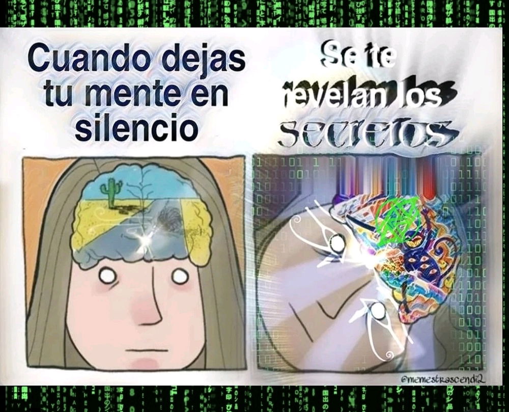 Dumpcito del día 25 del 2025
✨️🙏🏽✨️