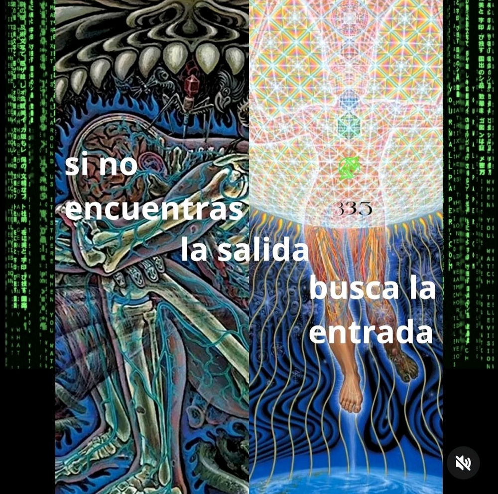 Dumpcito del día 25 del 2025
✨️🙏🏽✨️