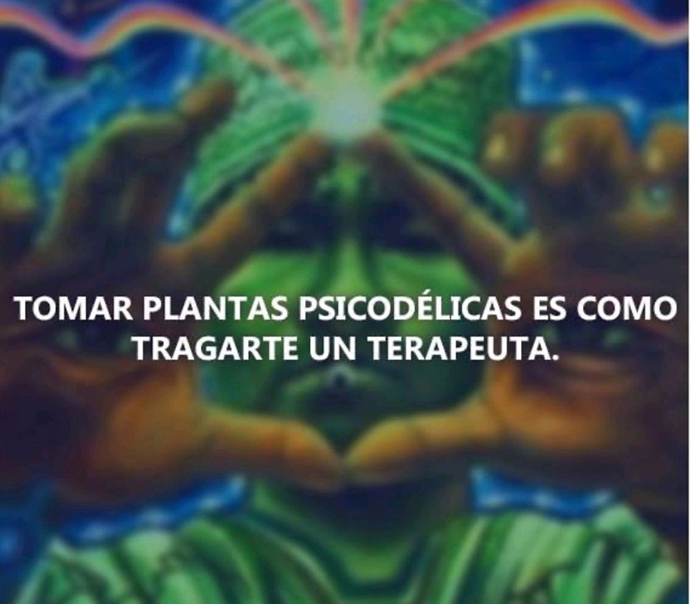 Dumpcito del día 25 del 2025
✨️🙏🏽✨️