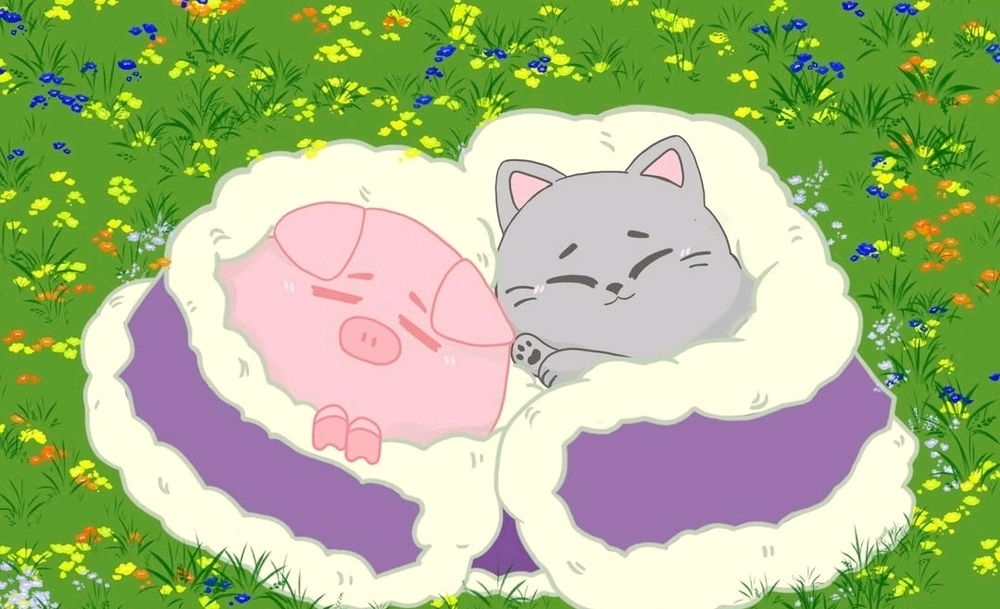 ❤️❤️❤️