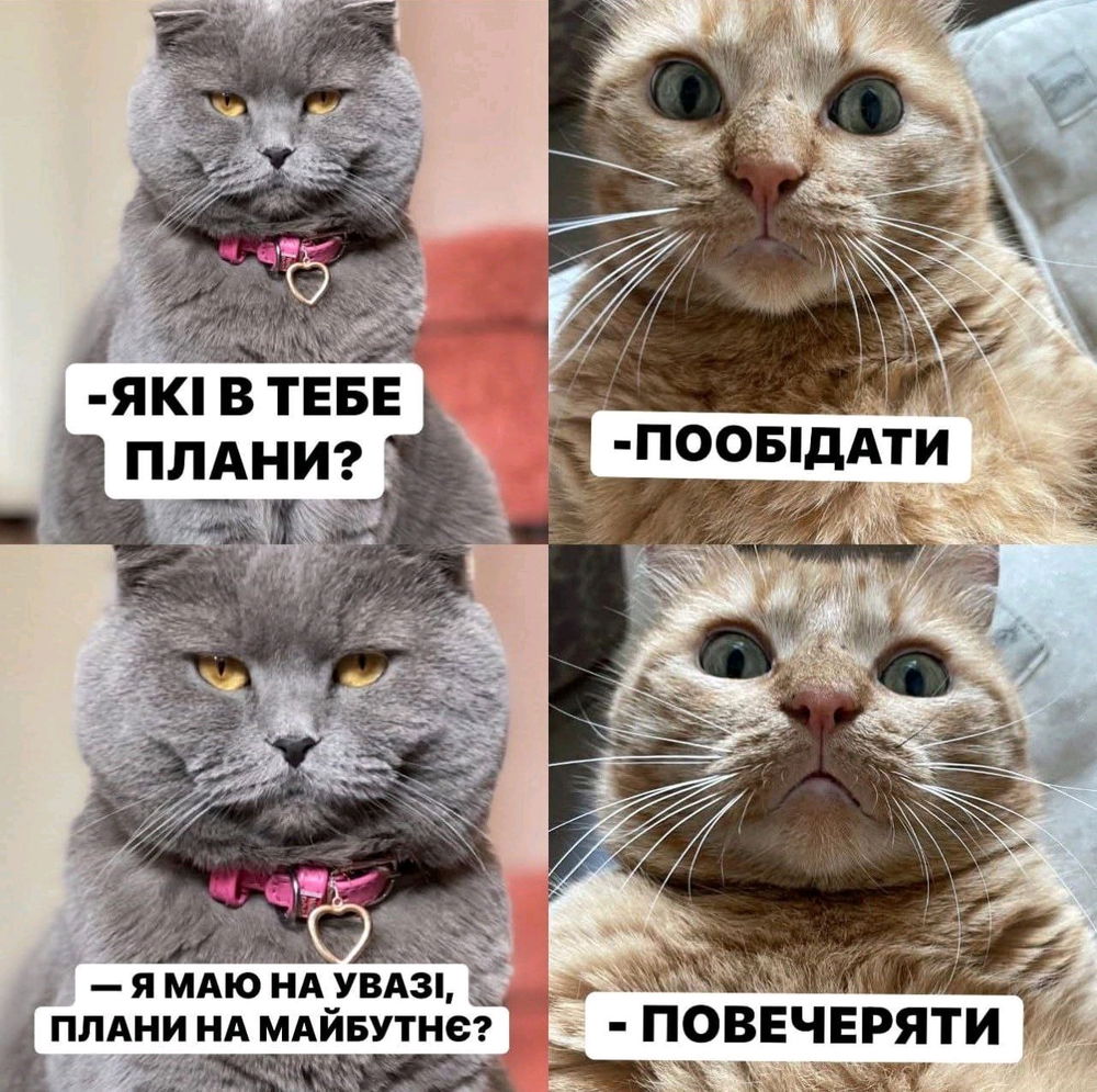 Все правильно
