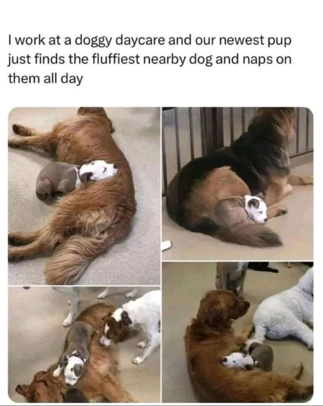 Puuuuppper