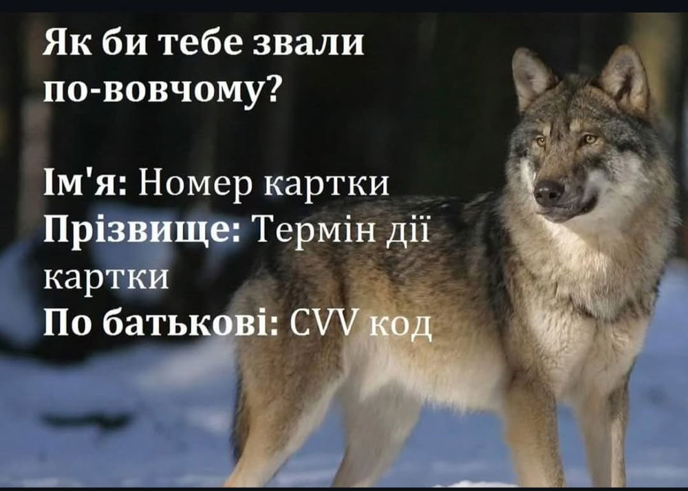 Хто тут у нас вовк?