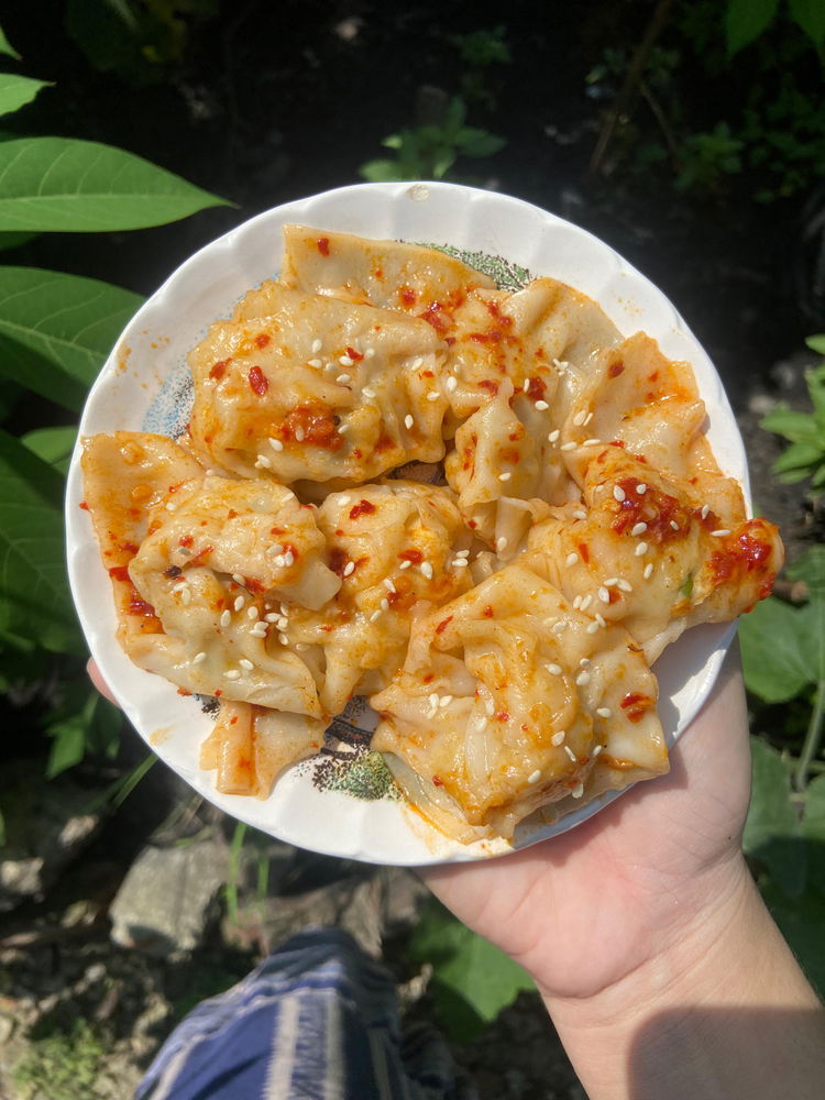 Wontons ✨