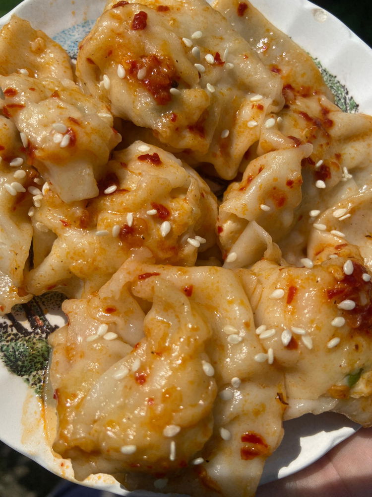 Wontons ✨