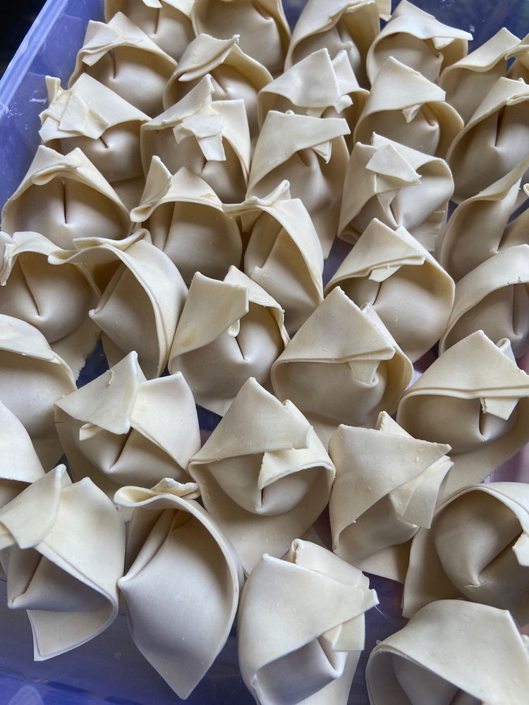 Wontons ✨