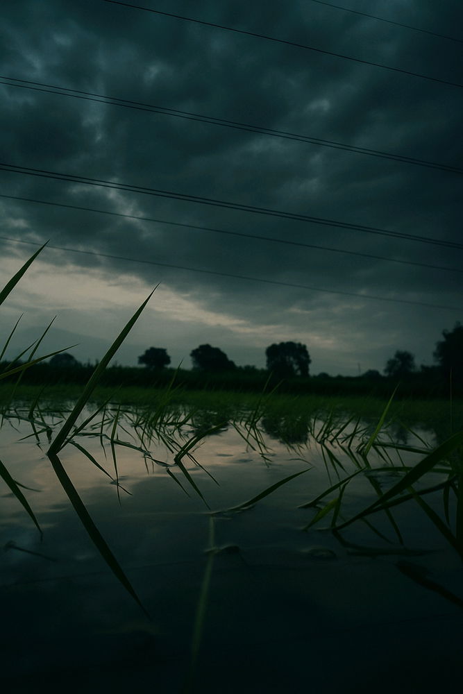 My fov weather ⛈️⛈️ and your ??