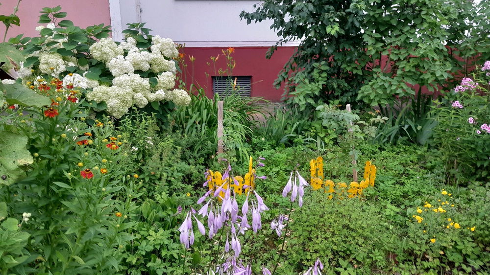 My morning walks around the city