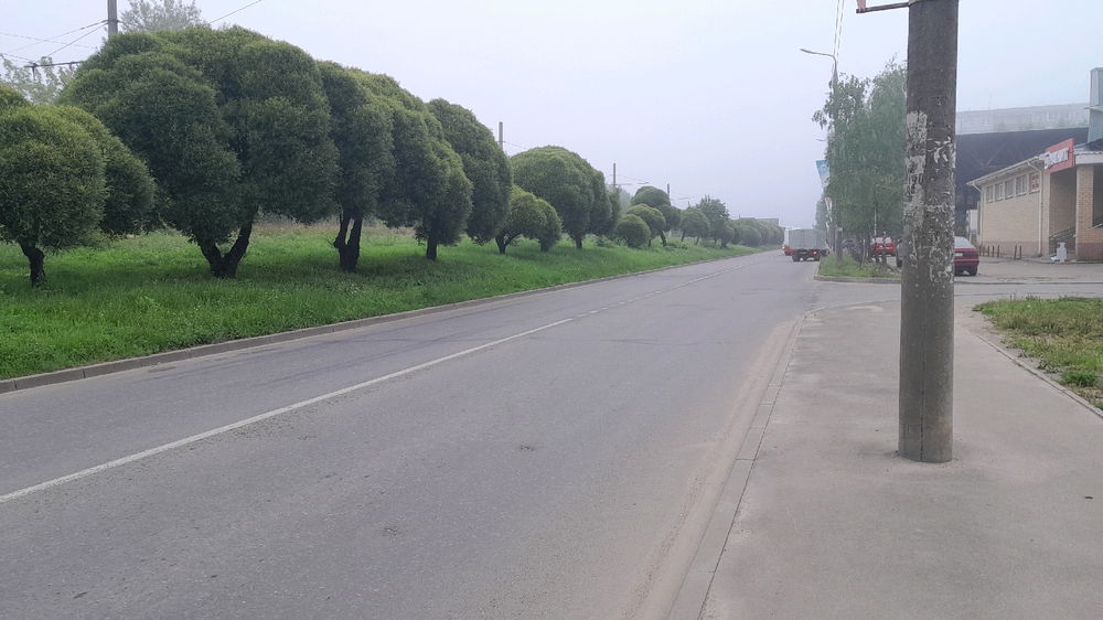 My morning walks around the city