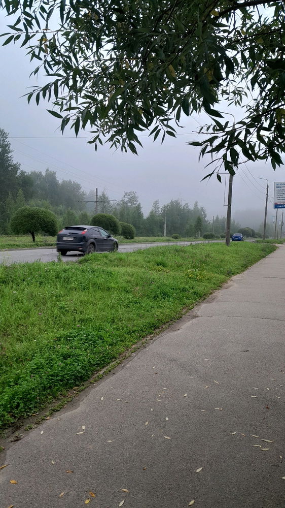 My morning walks around the city