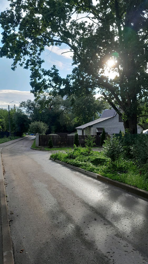 My morning walks around the city