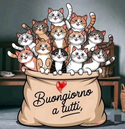 Buongiorno 😻😻😻